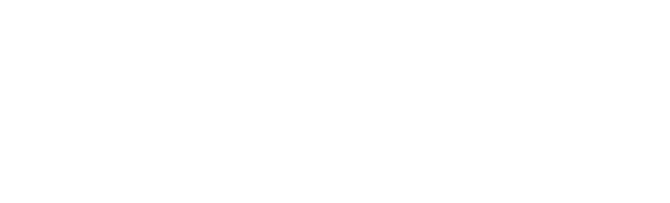 Alex-Ivanovich-Logo-Graphic-Website-Design-Edmonton